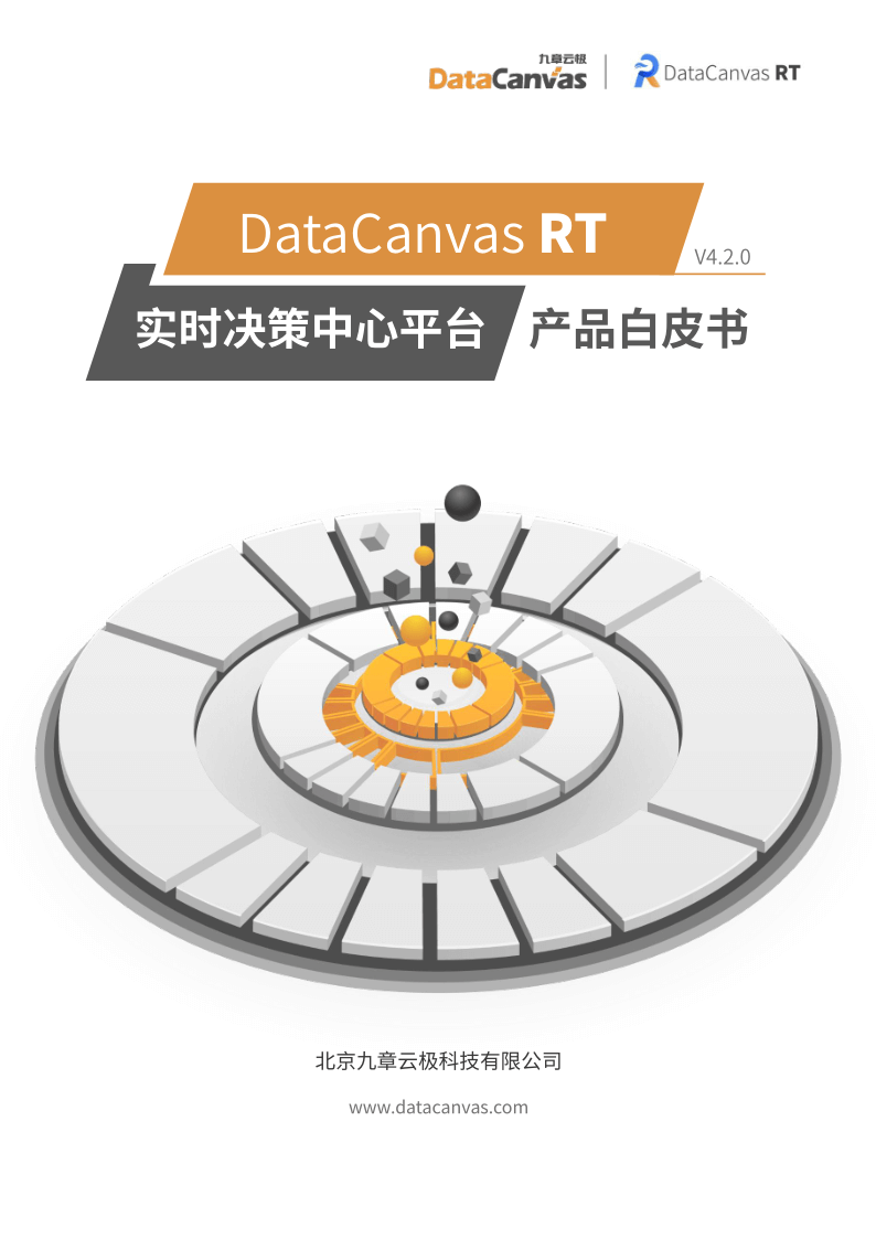 DataCanvas RT<br>White Paper